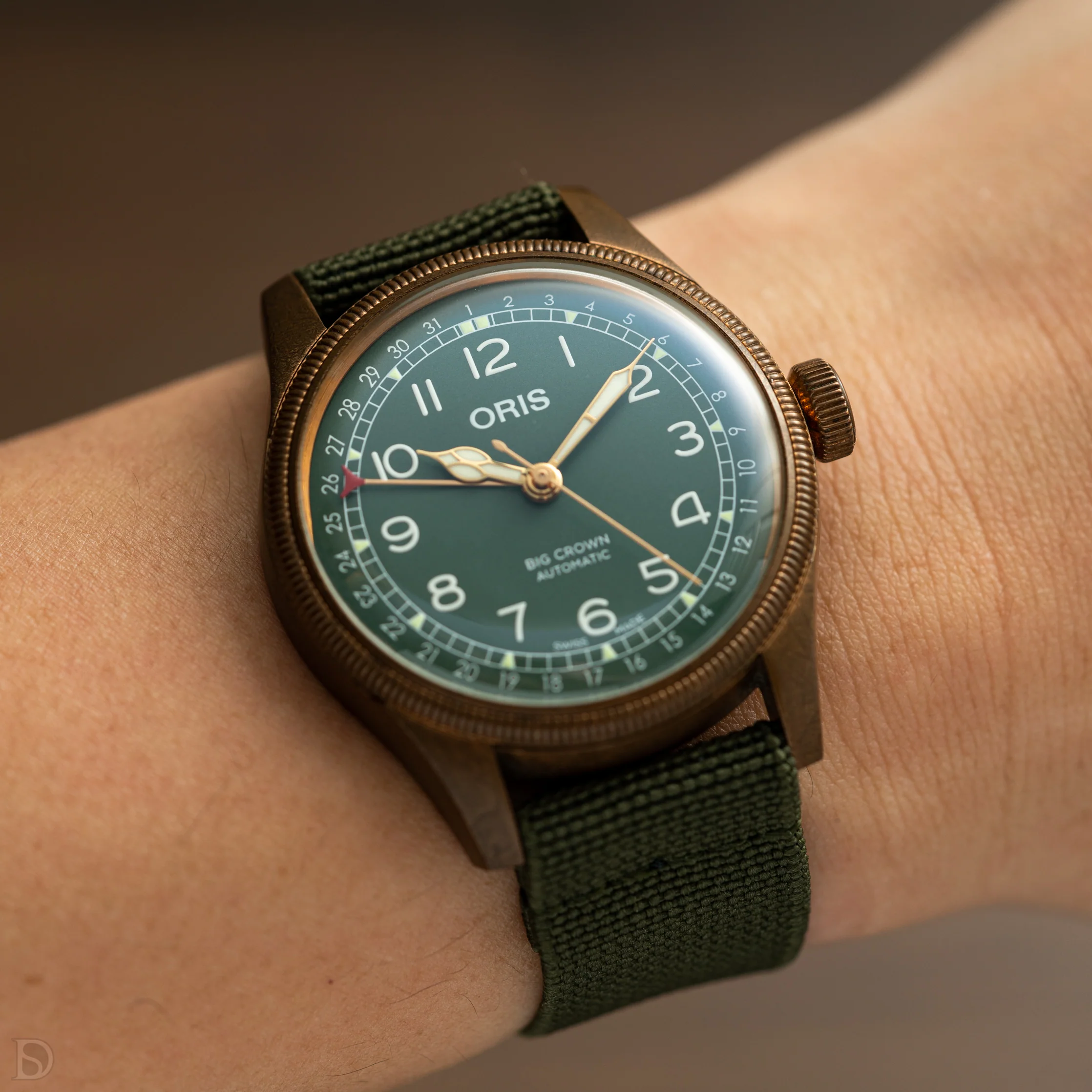 Elastic Loop Green - Image 4