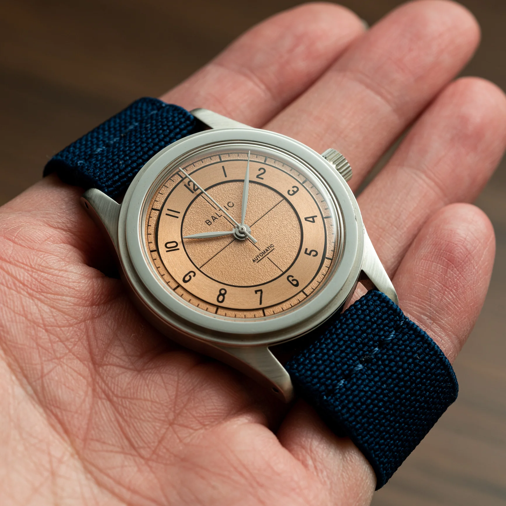 Elastic Loop Navy - Image 7