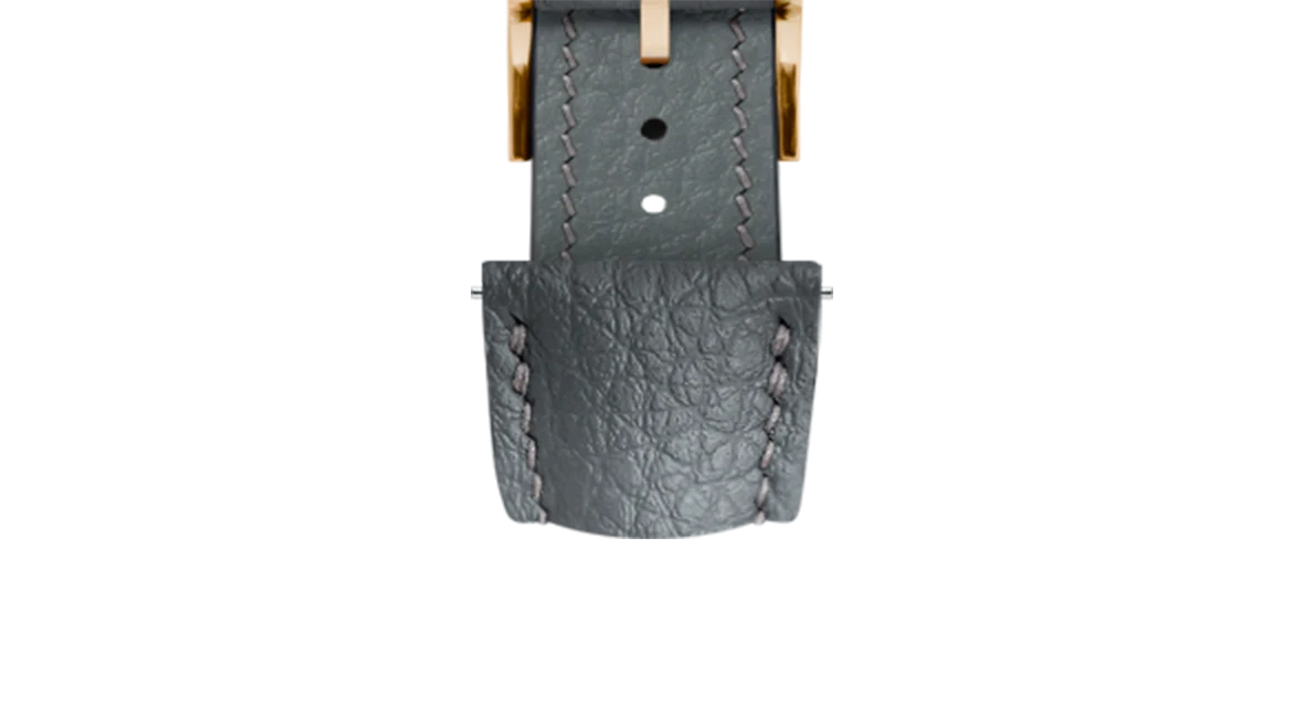 Grey Rubberised Leather (Togo) Signature Strap - Image 10